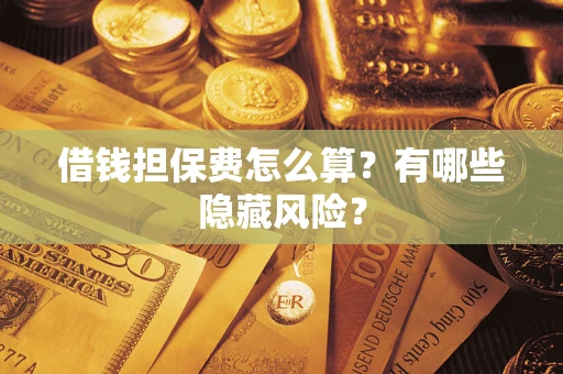 武汉借钱担保费怎么算？有哪些隐藏风险？
