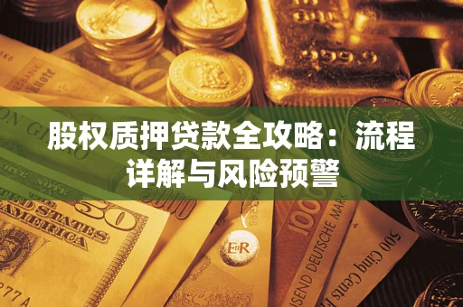 武汉股权质押贷款全攻略：流程详解与风险预警