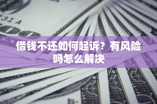 武汉借钱不还如何起诉？有风险吗怎么解决
