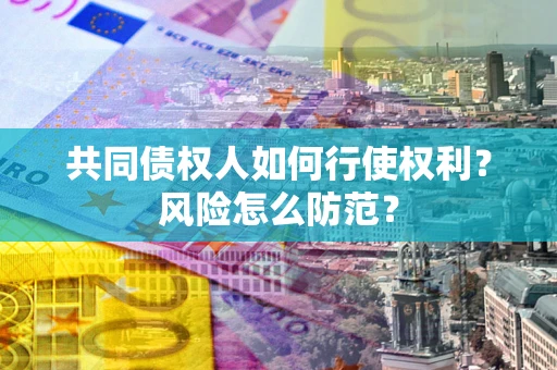 武汉共同债权人如何行使权利？风险怎么防范？