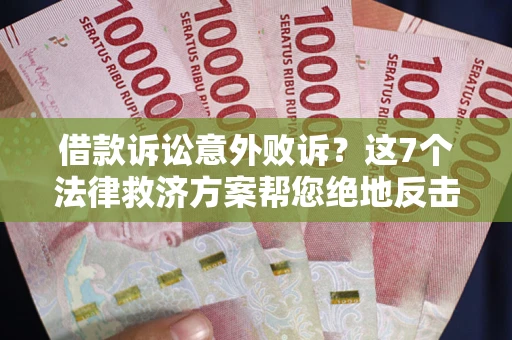 武汉借款诉讼意外败诉？这7个法律救济方案帮您绝地反击！