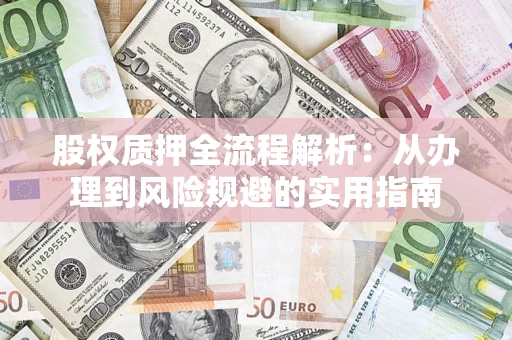武汉股权质押全流程解析：从办理到风险规避的实用指南