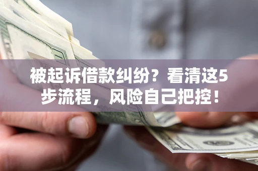 武汉被起诉借款纠纷？看清这5步流程，风险自己把控！