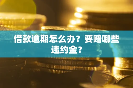 武汉借款逾期怎么办？要赔哪些违约金？