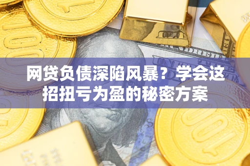 武汉网贷负债深陷风暴？学会这招扭亏为盈的秘密方案