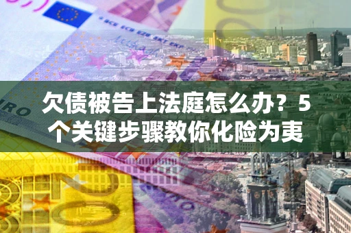 武汉欠债被告上法庭怎么办？5个关键步骤教你化险为夷